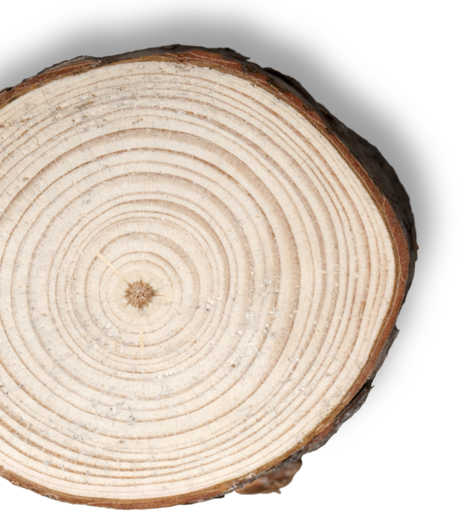wooden disk
