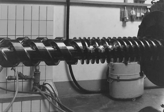 Schneckenpresse